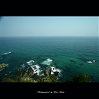 dailyPhoto5