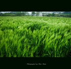 dailyPhoto3