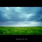 dailyPhoto7