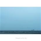dailyPhoto5