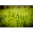 dailyPhoto31