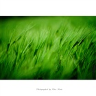 dailyPhoto28
