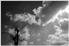 dailyPhoto5