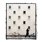 dailyPhoto6