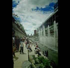 dailyPhoto11