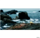 dailyPhoto21