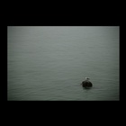 dailyPhoto30