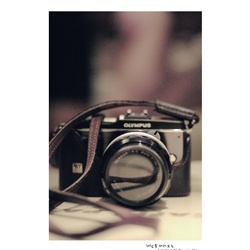 dailyPhoto12