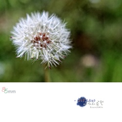 dailyPhoto20