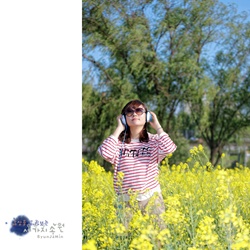 dailyPhoto11