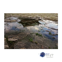 photo1