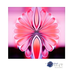 dailyPhoto7