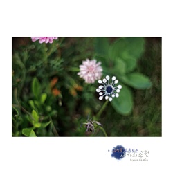 dailyPhoto31