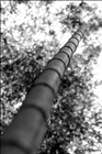 dailyPhoto9