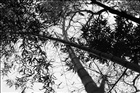 dailyPhoto35