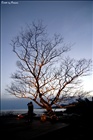dailyPhoto7