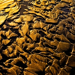 dailyPhoto18