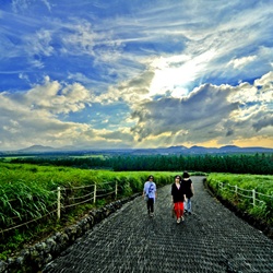 dailyPhoto20