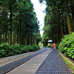 dailyPhoto6