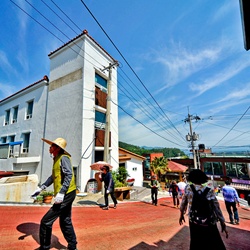dailyPhoto1