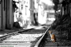 dailyPhoto30