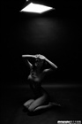 dailyPhoto3