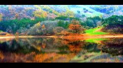 dailyPhoto4