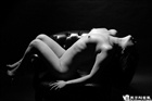 dailyPhoto4
