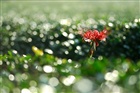 dailyPhoto5