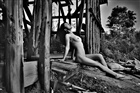 dailyPhoto2
