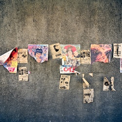 dailyPhoto22
