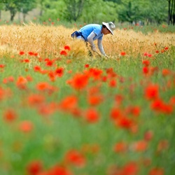 dailyPhoto10
