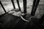dailyPhoto3