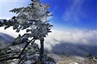 dailyPhoto9