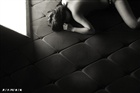 dailyPhoto5