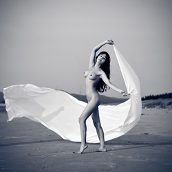dailyPhoto7