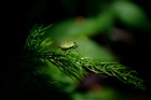 dailyPhoto27