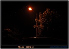 dailyPhoto40