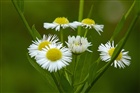 dailyPhoto7