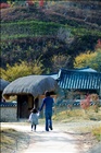 dailyPhoto8
