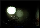 dailyPhoto13