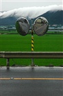 dailyPhoto35