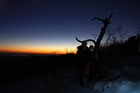 dailyPhoto4