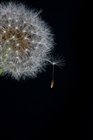 dailyPhoto19