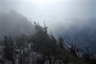 dailyPhoto4