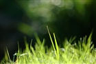 dailyPhoto32