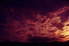dailyPhoto37