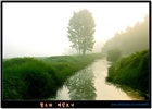 dailyPhoto30