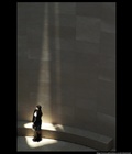 dailyPhoto38