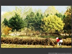 dailyPhoto4